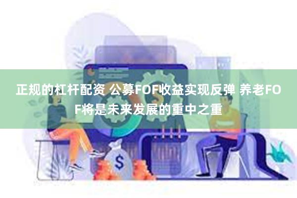 正规的杠杆配资 公募FOF收益实现反弹 养老FOF将是未来发展的重中之重