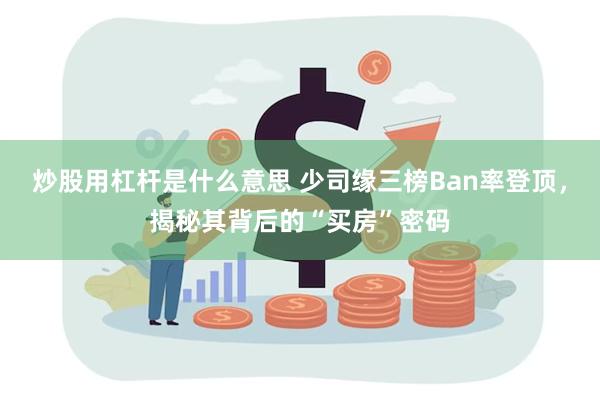 炒股用杠杆是什么意思 少司缘三榜Ban率登顶，揭秘其背后的“买房”密码