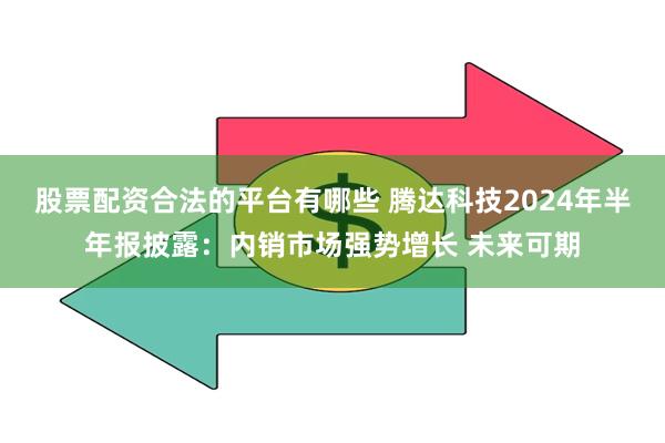 股票配资合法的平台有哪些 腾达科技2024年半年报披露：内销市场强势增长 未来可期