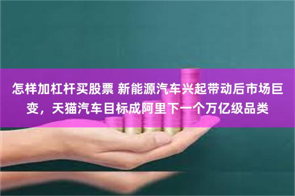 怎样加杠杆买股票 新能源汽车兴起带动后市场巨变，天猫汽车目标成阿里下一个万亿级品类