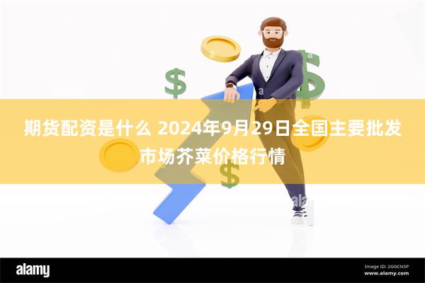 期货配资是什么 2024年9月29日全国主要批发市场芥菜价格行情