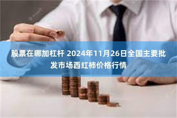 股票在哪加杠杆 2024年11月26日全国主要批发市场西红柿价格行情