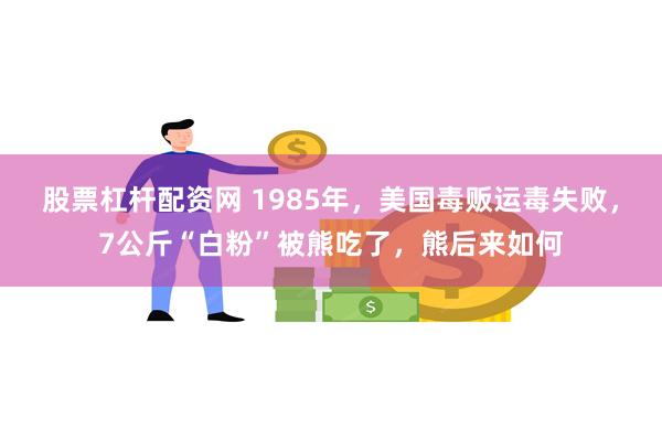 股票杠杆配资网 1985年，美国毒贩运毒失败，7公斤“白粉”被熊吃了，熊后来如何