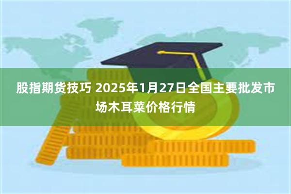 股指期货技巧 2025年1月27日全国主要批发市场木耳菜价格行情