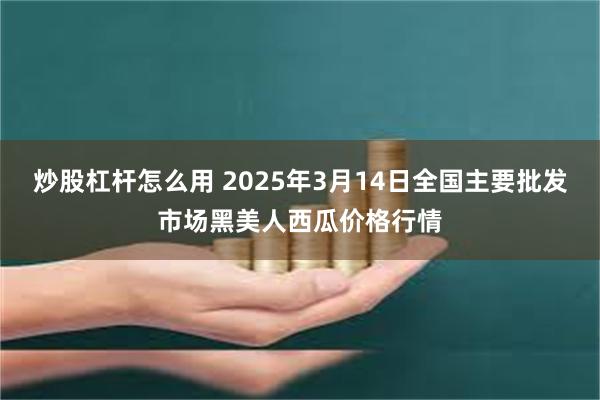 炒股杠杆怎么用 2025年3月14日全国主要批发市场黑美人西瓜价格行情