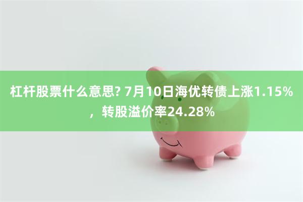 杠杆股票什么意思? 7月10日海优转债上涨1.15%，转股溢价率24.28%