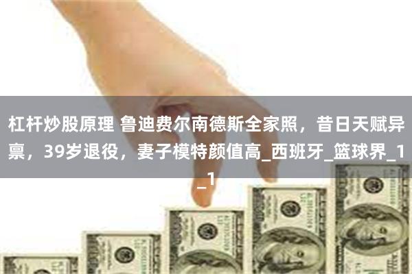 杠杆炒股原理 鲁迪费尔南德斯全家照，昔日天赋异禀，39岁退役，妻子模特颜值高_西班牙_篮球界_1